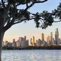 พาเดินเล่นที่ Albert park🇦🇺🔅