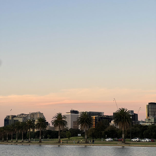 พาเดินเล่นที่ Albert park🇦🇺🔅