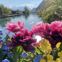 Interlaken: Alpine Bliss Beckons You