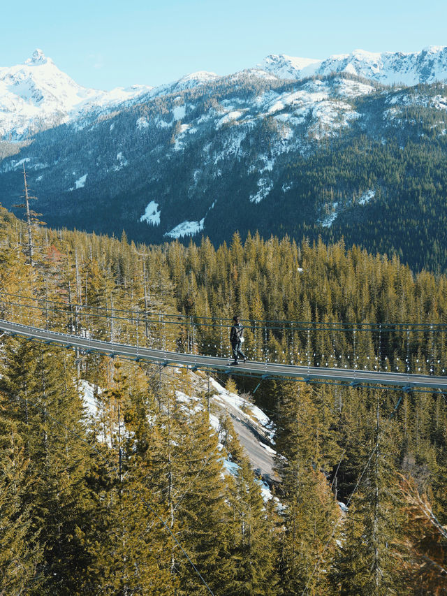 🇨🇦 來加拿大不可錯過的 畢生難忘 最美風景纜車 Sea to Sky Gondola🚡