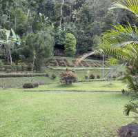 Candi Selogriyo 最高！(ジョグジャカルタ　インドネシア🇮🇩)
