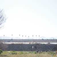 アートも楽しめる島