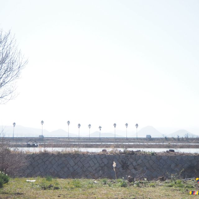 アートも楽しめる島