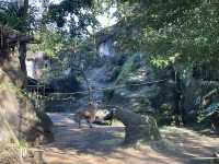 台北假日熱門景點，台北市立動物園