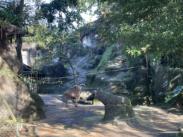 台北假日熱門景點，台北市立動物園