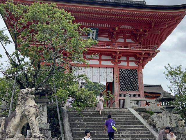 🌳교토가 한 눈에 보이는 신사, 기요미즈테라 ⛩️