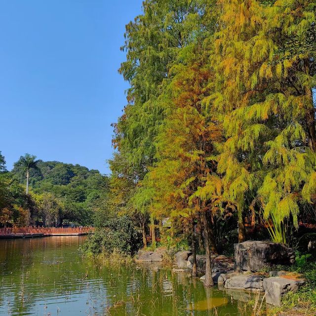 東町公園 🌳🌸自然與休閒的綠洲 🚶‍♂️🌷
