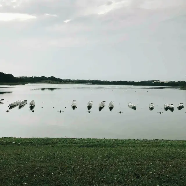 Backdrop of Tranquility at Bedok Reservoir 