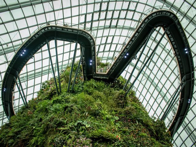 คลาวด์ฟอเรสต์โดม Cloud Forest Dome 🇸🇬