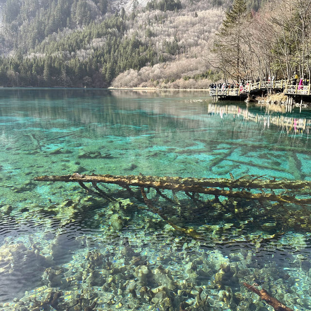 Exploring The Beauty of Jiuzhaigou in Winter