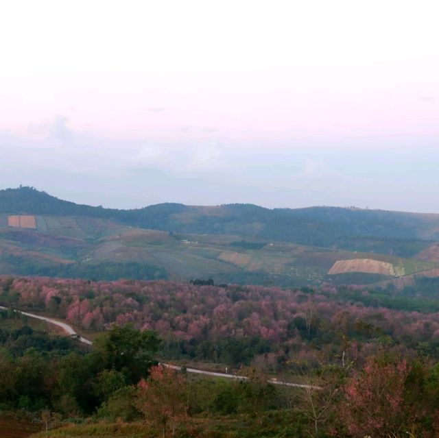 ภูลมโล ภูเขาสีชมพู