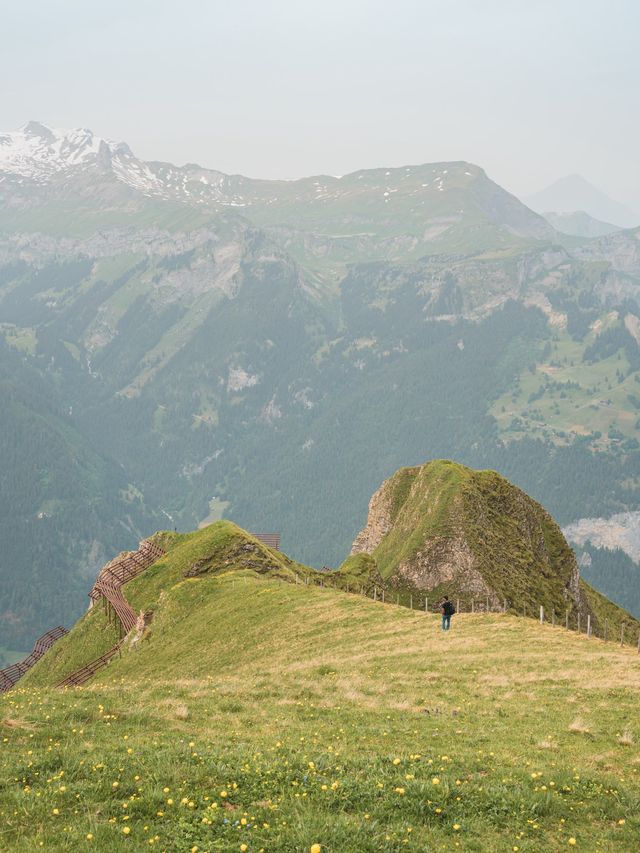 【スイス】絶景のアルプスをハイキング！初心者でも疲れないコース！