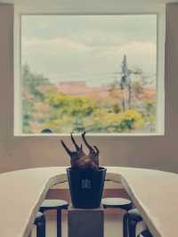 Spring Spring Cafe