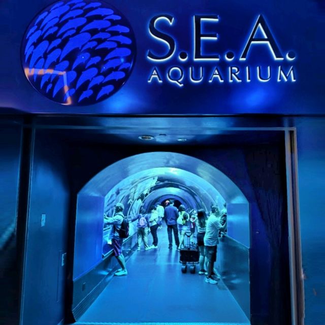 Fasinating & educational aquarium tour!