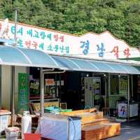 꼭 동굴안에 들어가지 않아도 좋은 성류굴