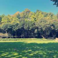 上海世紀公園