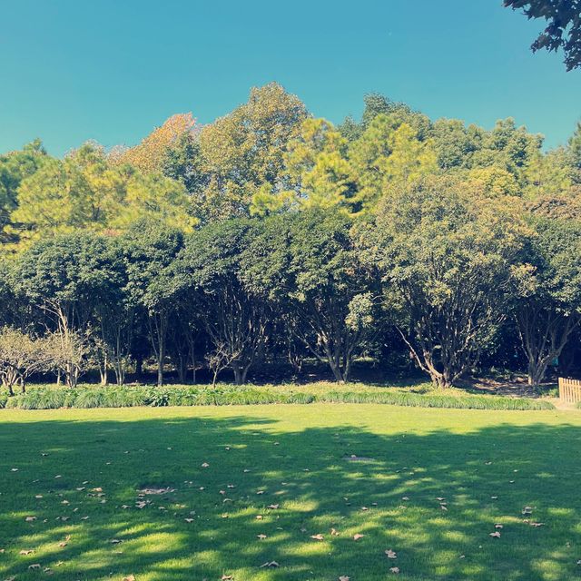 上海世紀公園