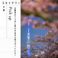 東京スカイツリー✖️桜スポット🌸