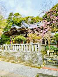 【伊古奈比咩命神社/静岡県】伊豆最古の宮と桜