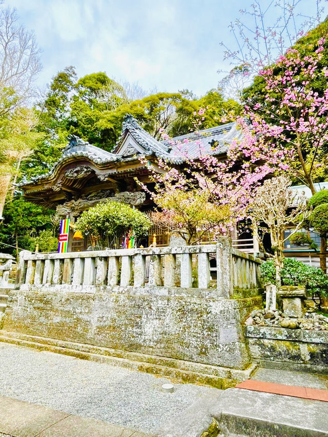 【伊古奈比咩命神社/静岡県】伊豆最古の宮と桜