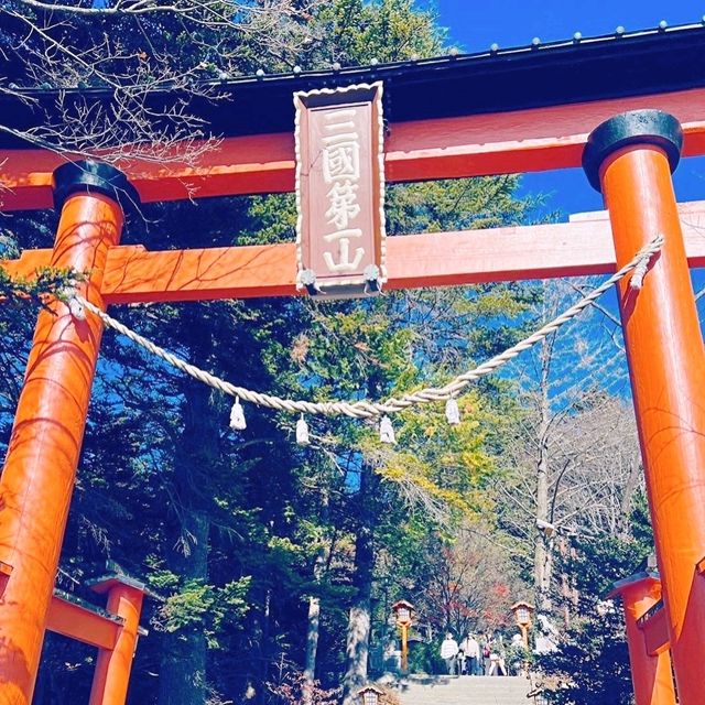 Cherry blossom in Arakurayama Sengen Park 