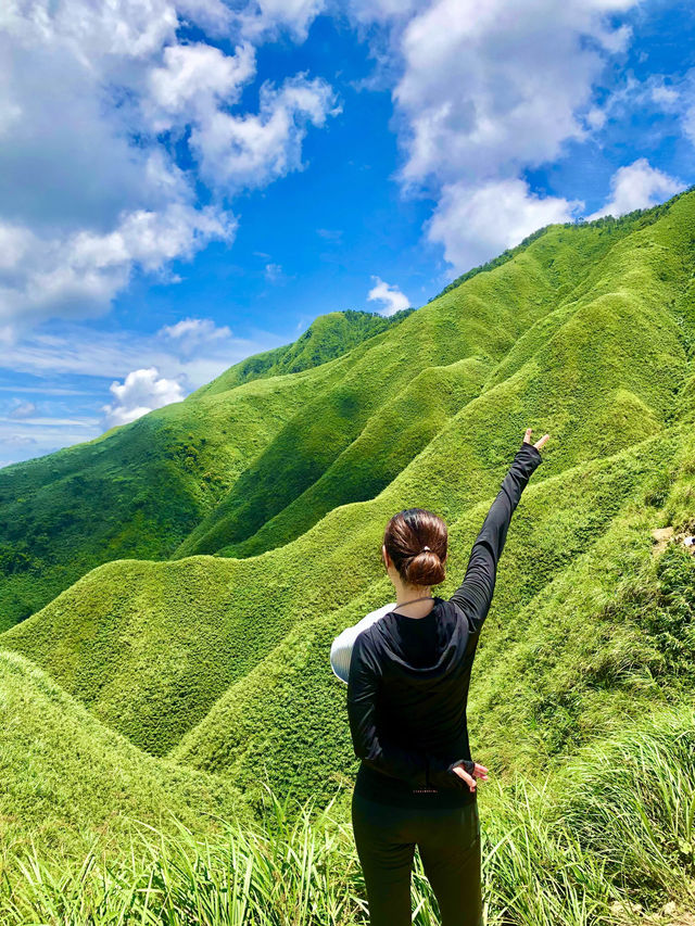 宜蘭後花園「抹茶山」莫蘭迪翠綠