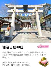 【仙波日枝神社/埼玉県】赤坂の日枝神社の本社