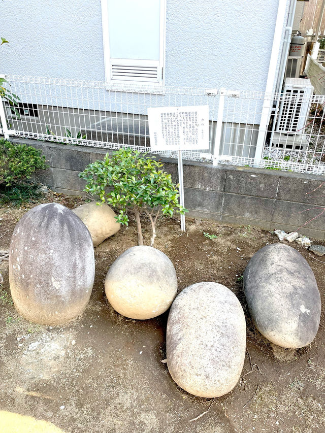 【清門稲荷神社/埼玉県】数々の石碑群に見守られている神社