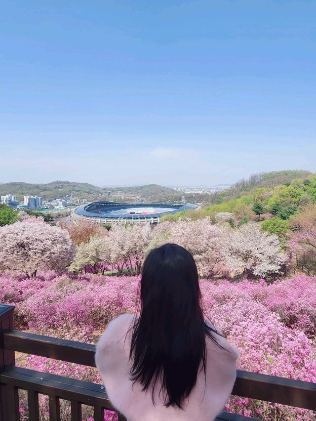 진잘래동산 벚꽃축제 인생샷🌸