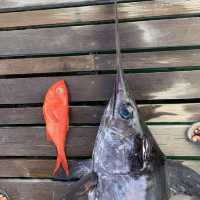 Fishy connections to the Maldives cuisines 