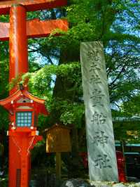 【京都】新緑のGWにオススメ‼️京都屈指の観光スポットを紹介🔍