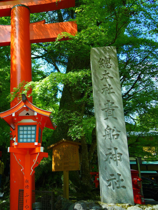 【京都】新緑のGWにオススメ‼️京都屈指の観光スポットを紹介🔍