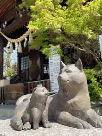 【行田八幡神社／埼玉県】花手水で溢れる境内