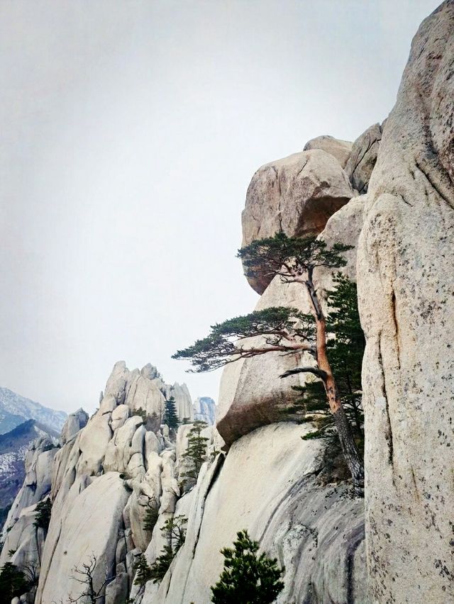 설악산 울산바위 & 흔들바위 