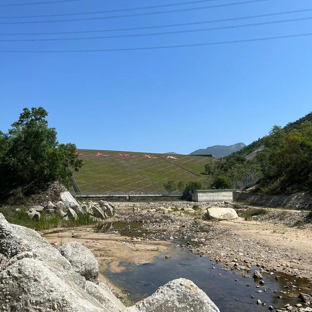 新加坡勿洛水庫公園：湖泊綠洲，適合身心放鬆