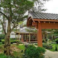 「蝴蝶灣公園～繡球花海」