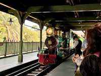 รีวิวเที่ยว Tokyo Disneyland