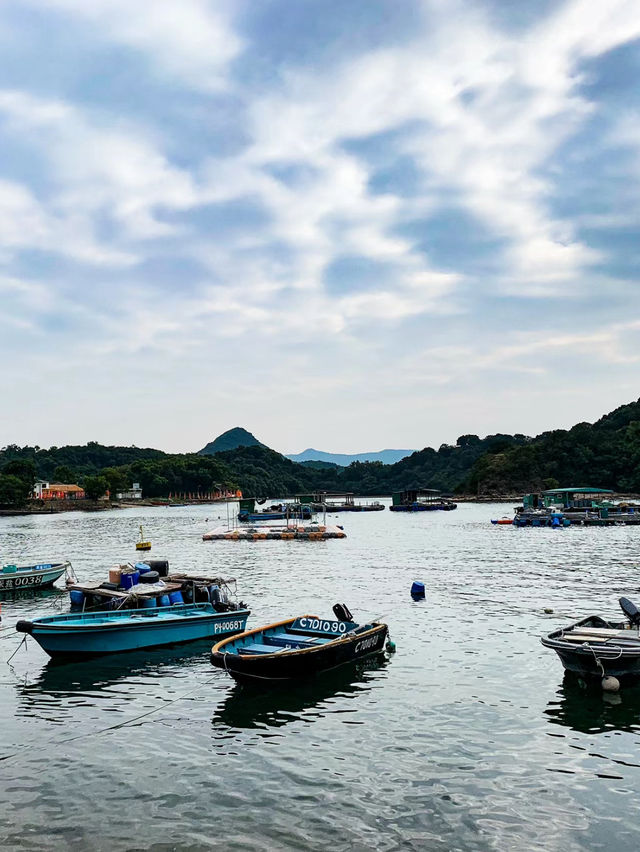 夏日探秘：鴨洲的紫色海蝕洞之旅