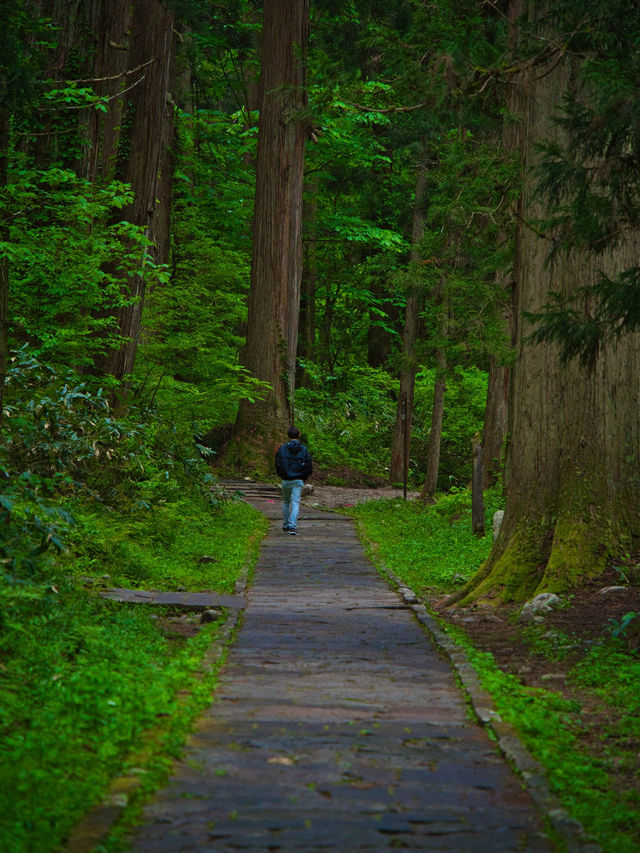 【山形】歴史と共に山奥にひっそり佇む五重塔🏞  