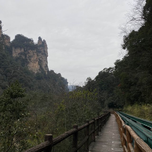 只能用壯麗來形容的「🌳張家界國家森林公園」🌳