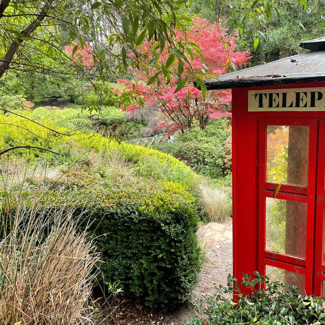 Blooming Paradise: Unwinding at the Dandenong Ranges Botanic Garden