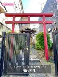 【稲荷神社/東京都】小さいながら昇龍・降龍が見られる