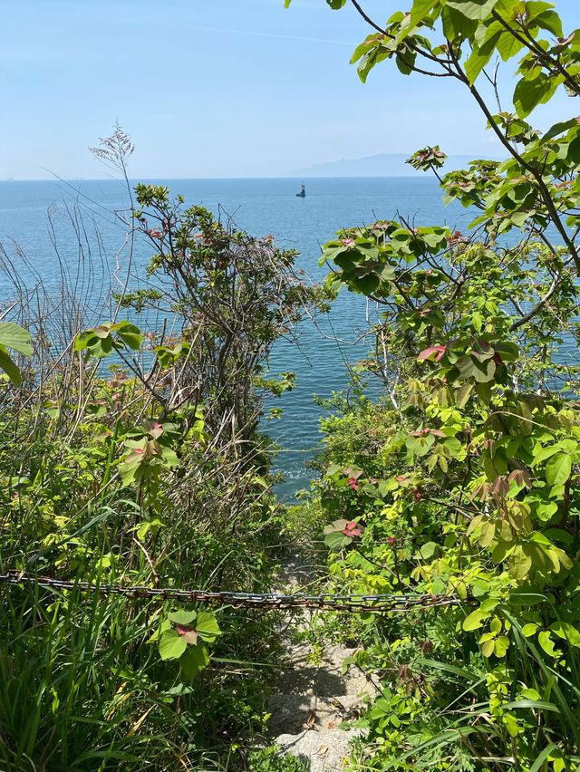 【赤穂】海沿いの道を歩いてみた