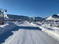 Fluffy White Snow of Northern Xinjiang