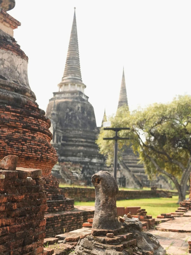 อุทยานประวัติศาสตร์พระนครศรีอยุธยา มรดกโลกที่มีเสน่