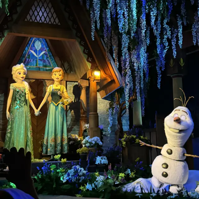 【Hong Kong】Frozen Area OPEN! Disneyland Report.