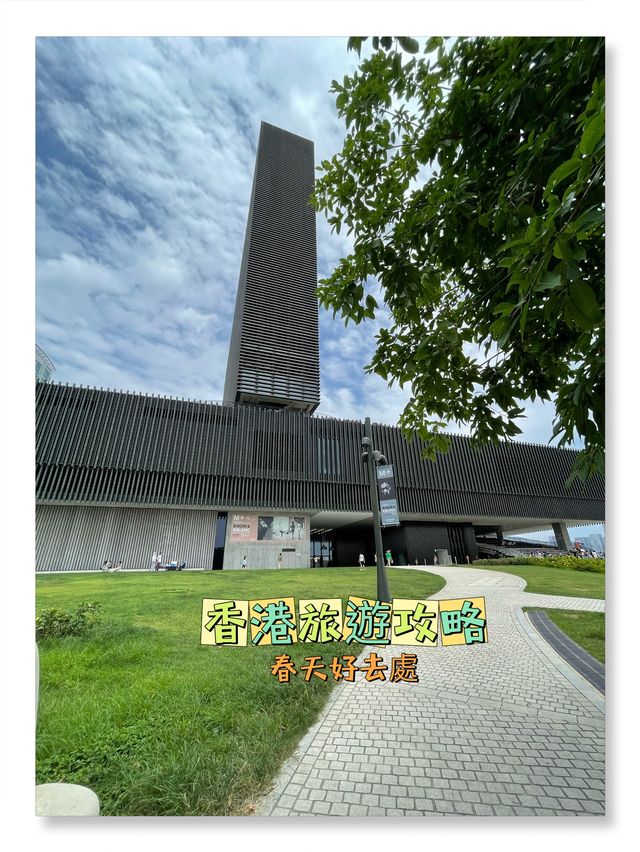 M+博物館探秘指南✨🏛️