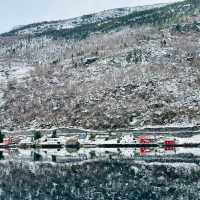 Norway in the Nutshell - Fjord Cruise