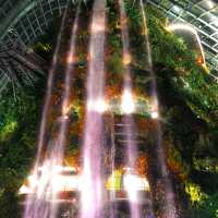 A Magical Escape to Cloud Forest, Singapore 🌿