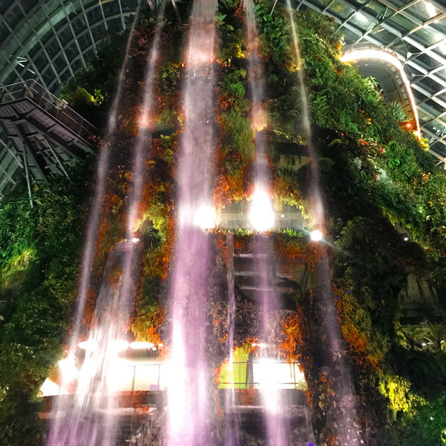 A Magical Escape to Cloud Forest, Singapore 🌿